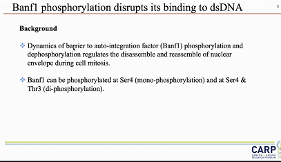 image-20240223100900-4