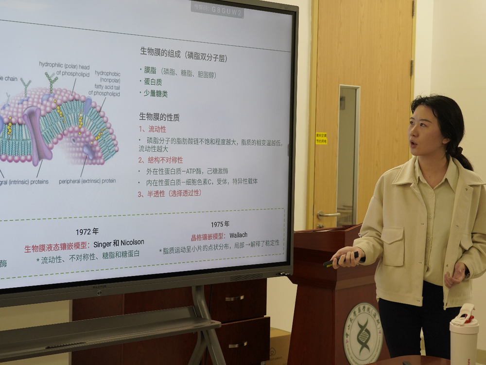 image-20240219154522-4