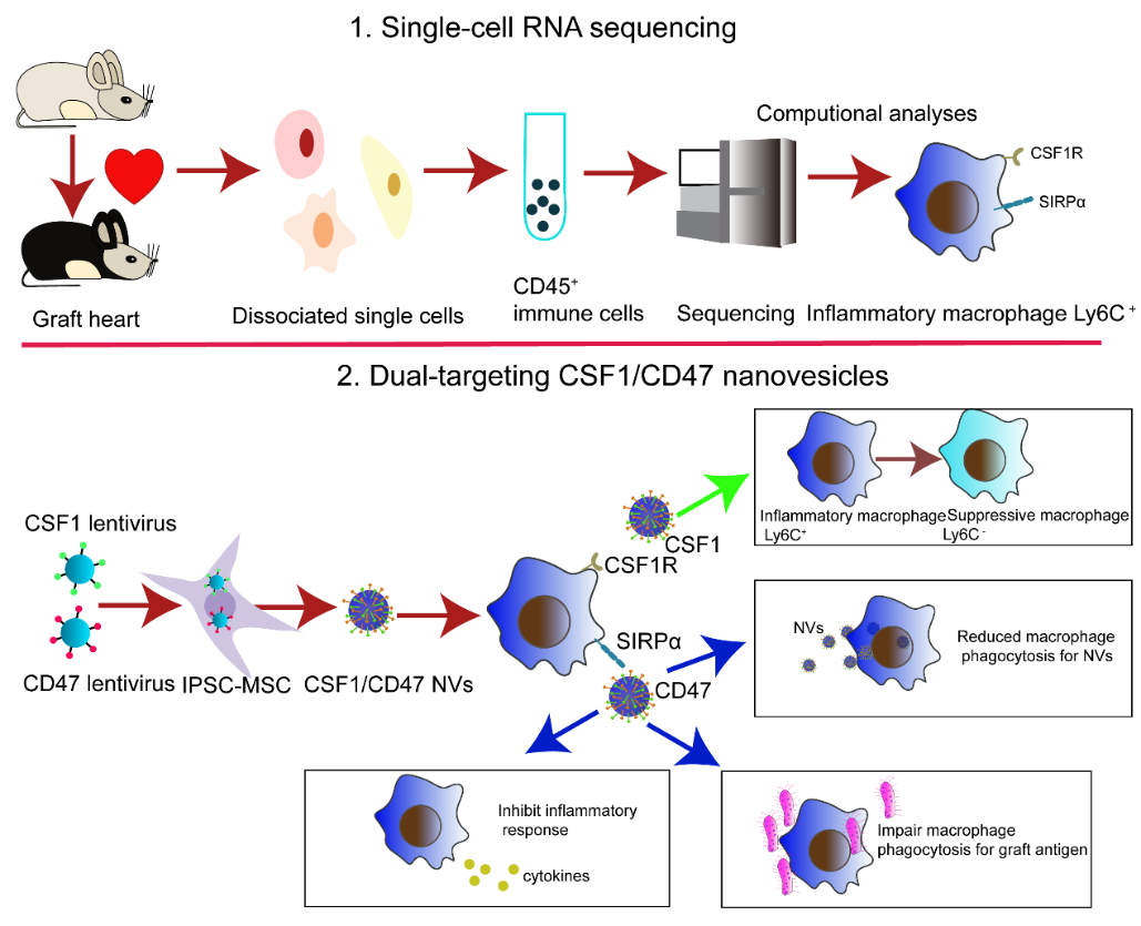 image-20240219170952-1