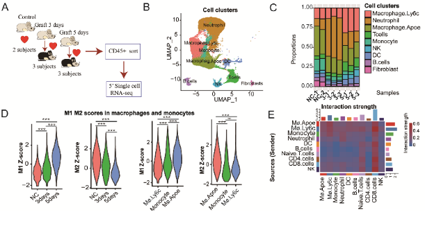 image-20240219170952-2