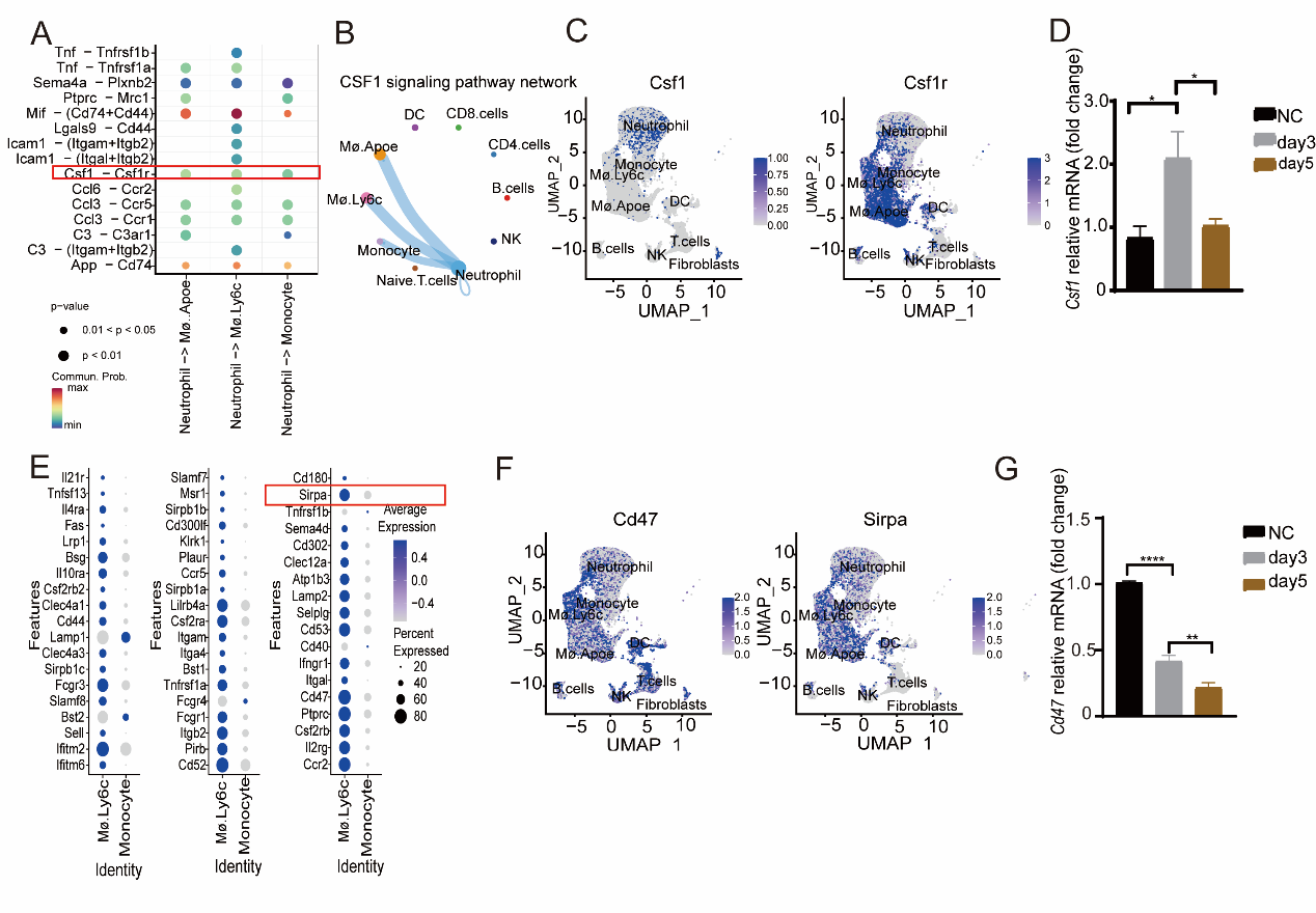 image-20240219170952-3
