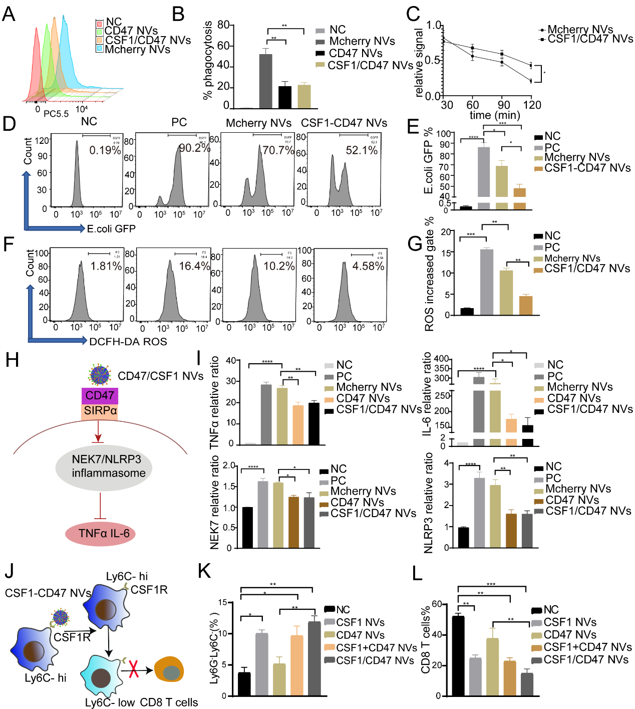 image-20240219170952-4