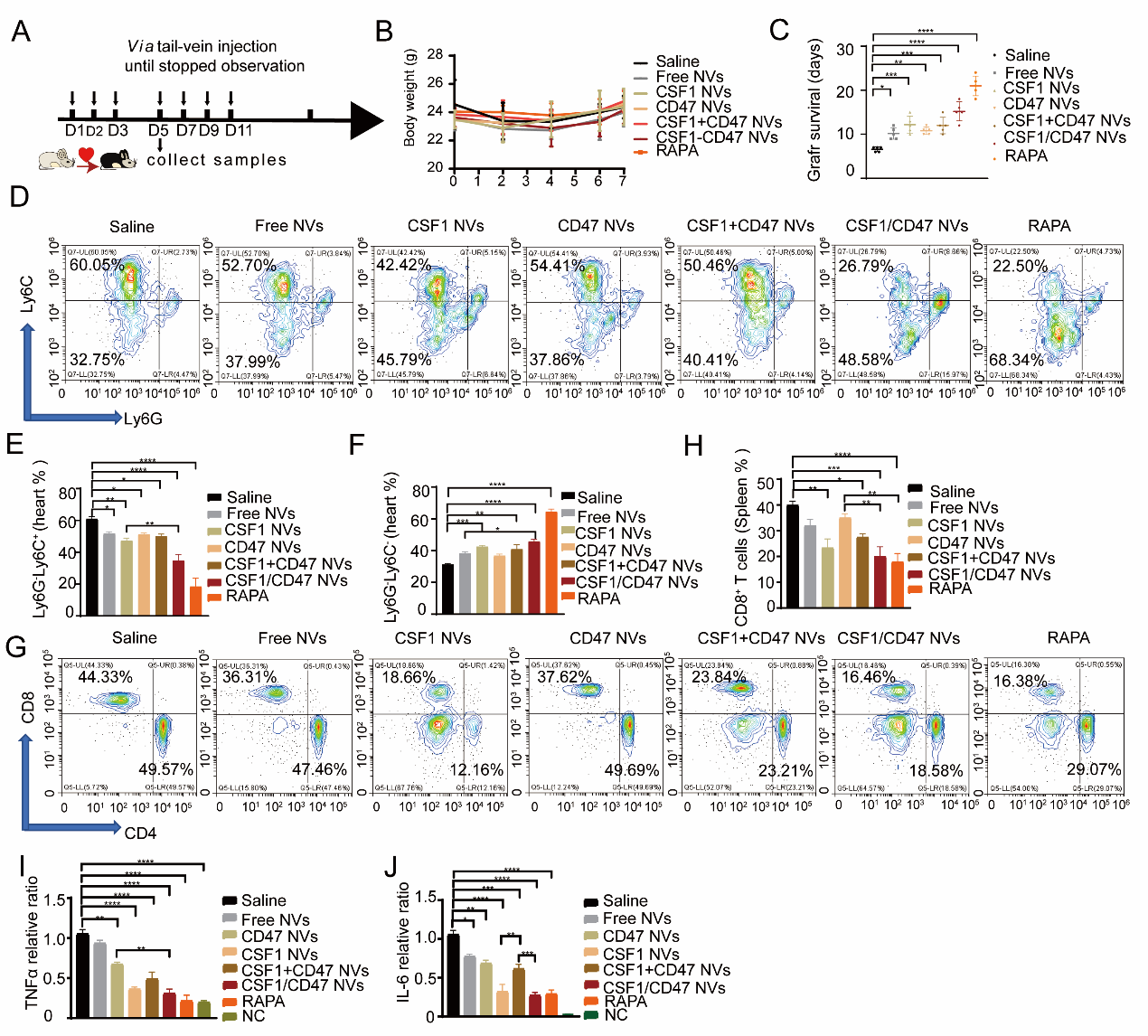 image-20240219170952-5