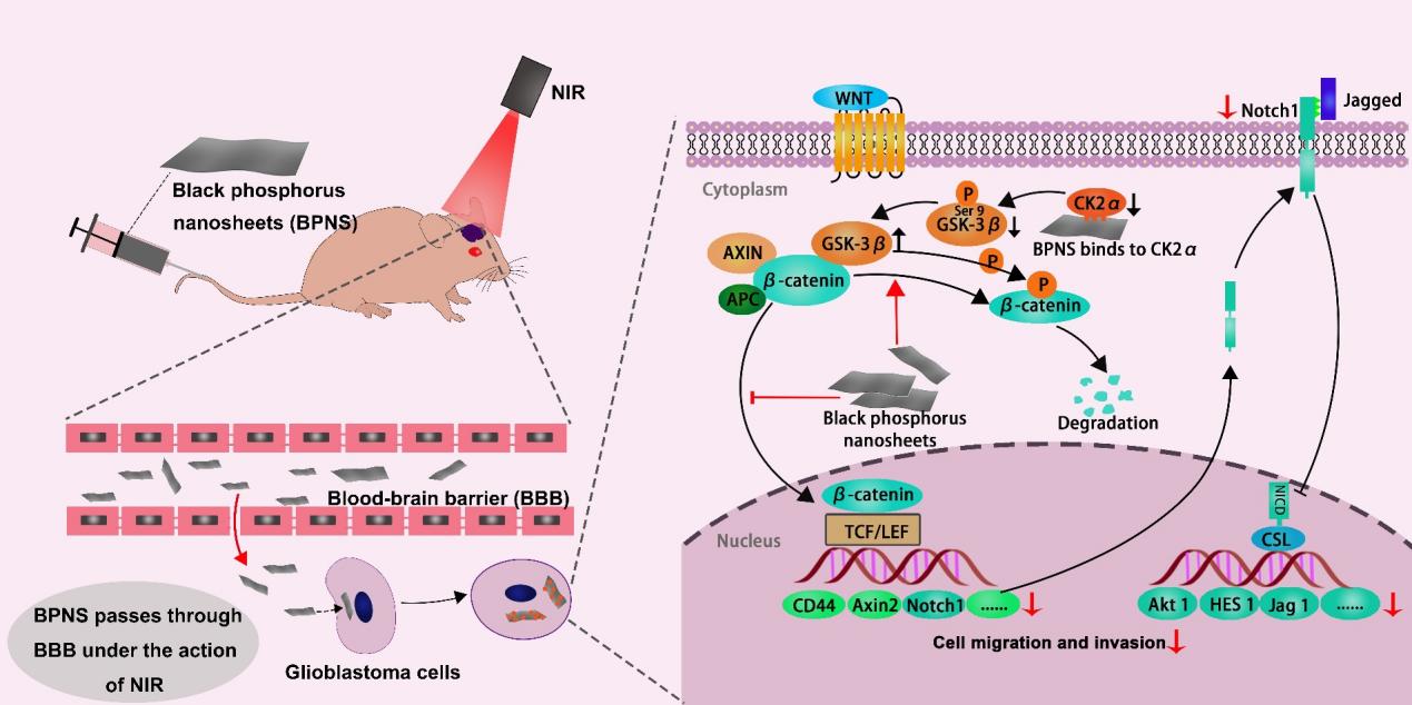 image-20240219171040-1