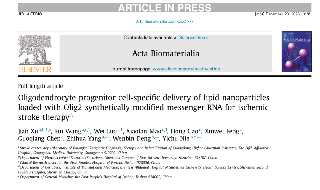 image-20240219171114-1