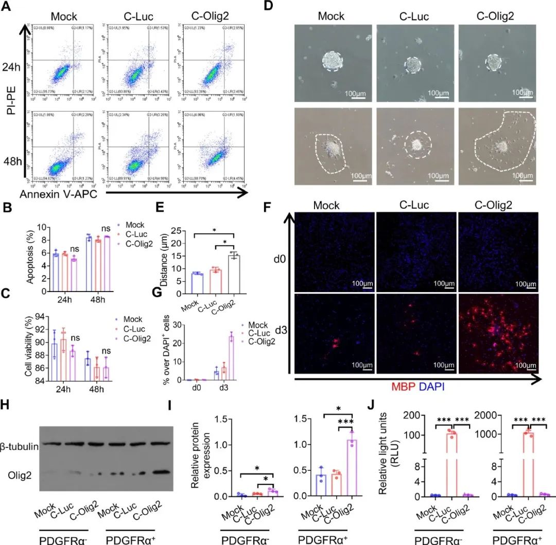 image-20240219171114-3