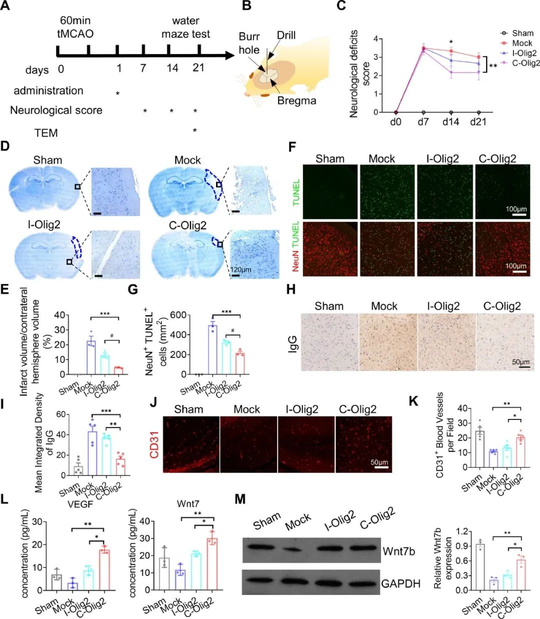 image-20240219171114-4