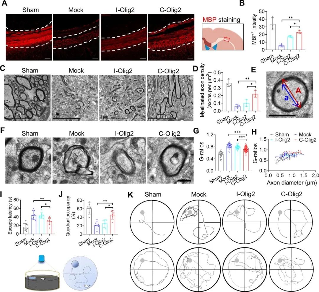 image-20240219171115-5