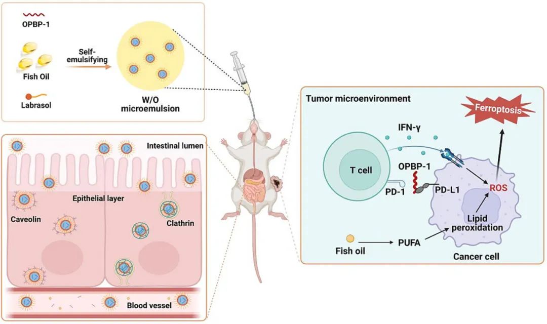 image-20240219171154-1