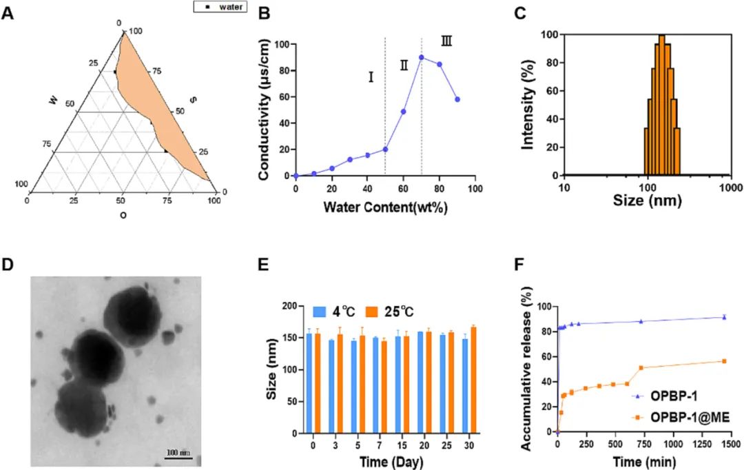 image-20240219171154-2