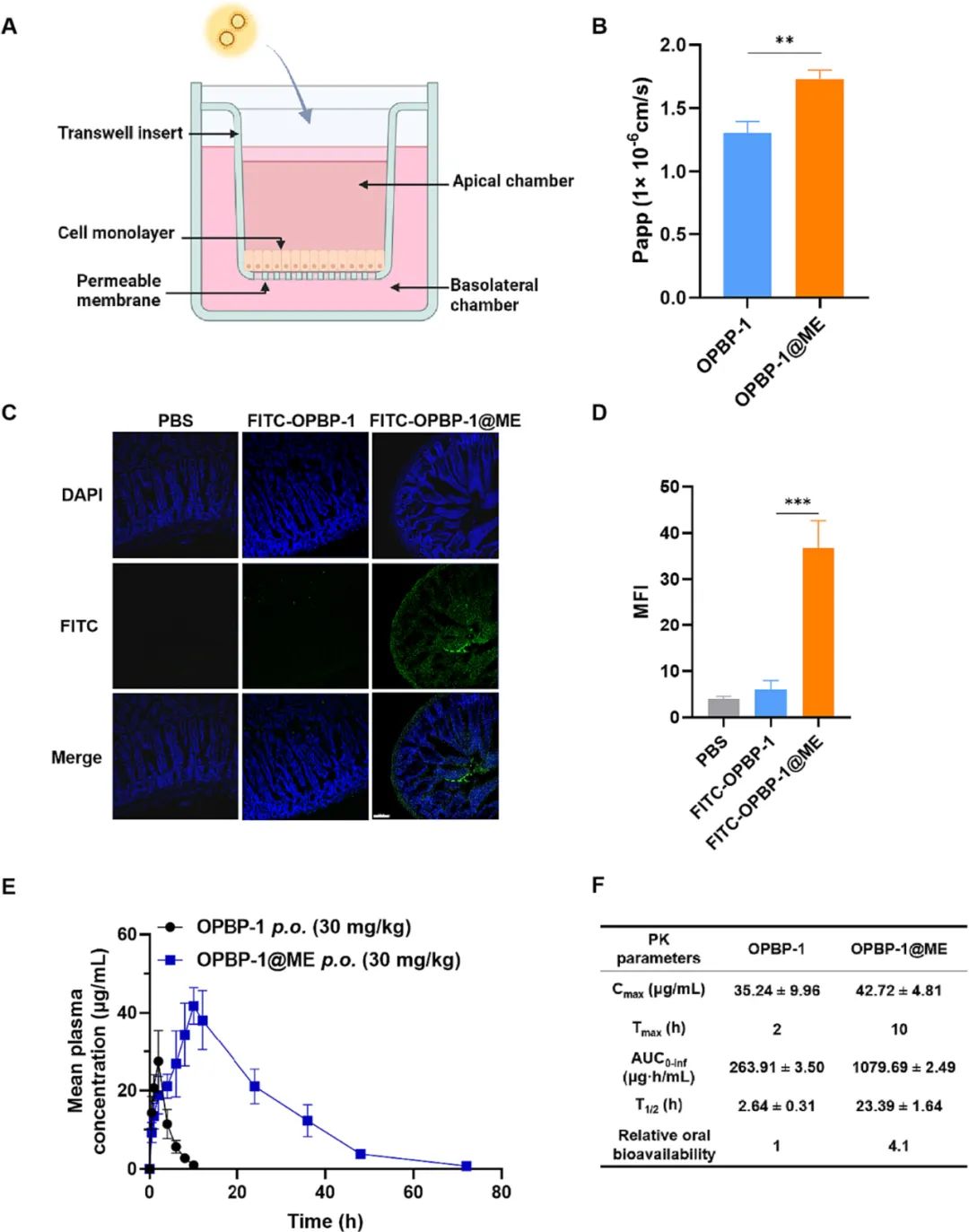 image-20240219171154-3