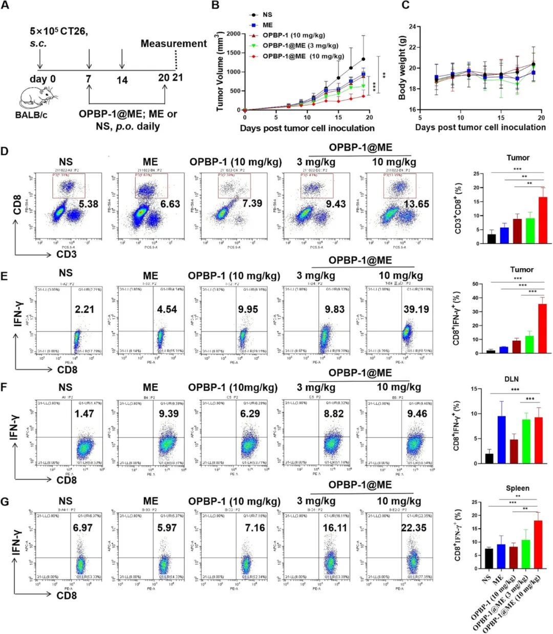 image-20240219171154-4