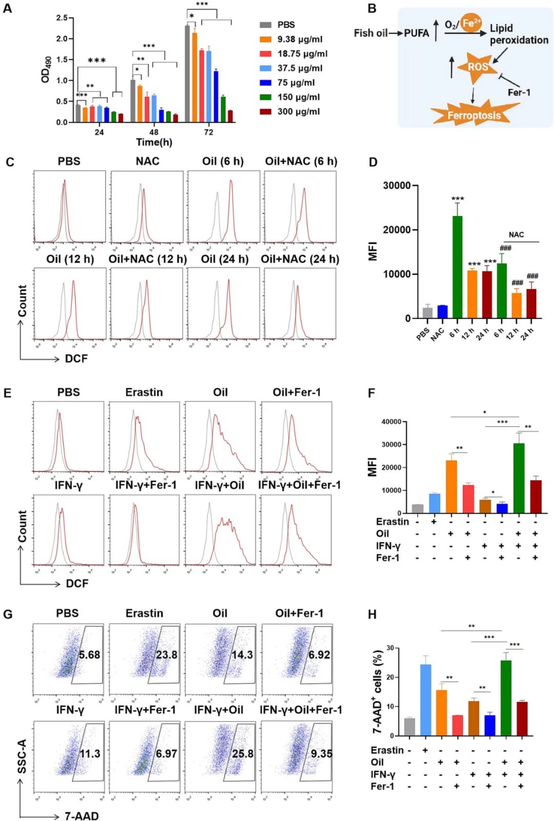 image-20240219171154-5