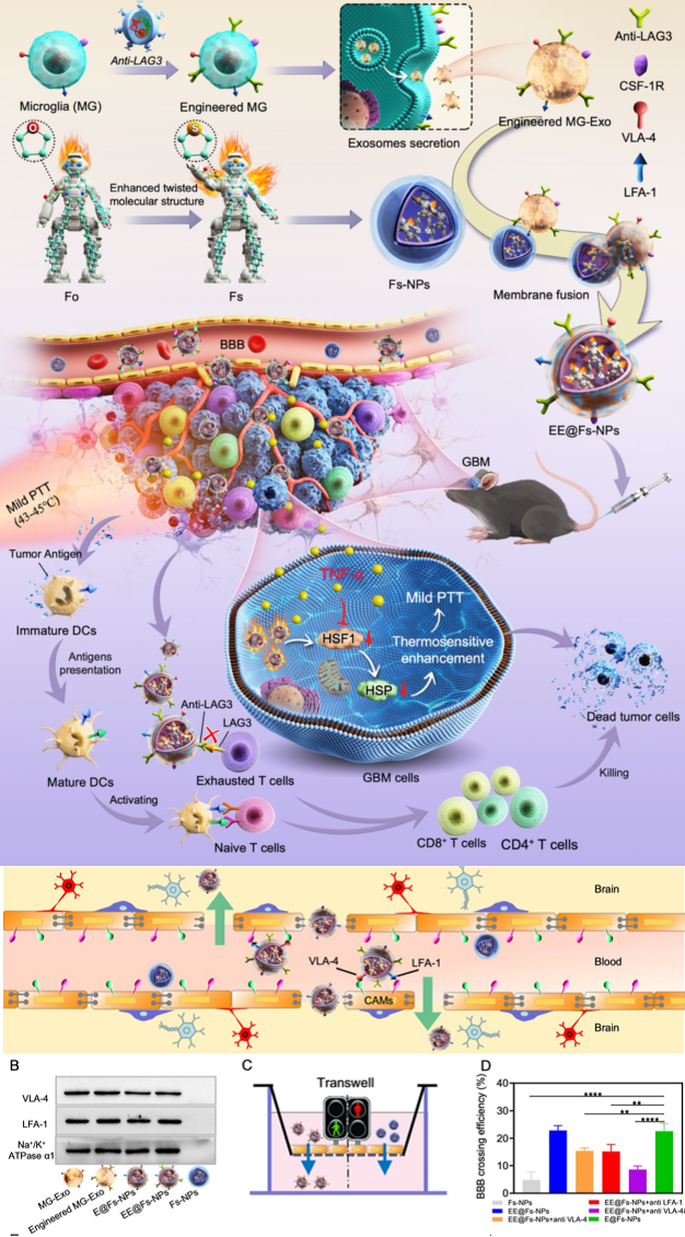 image-20240219171321-2