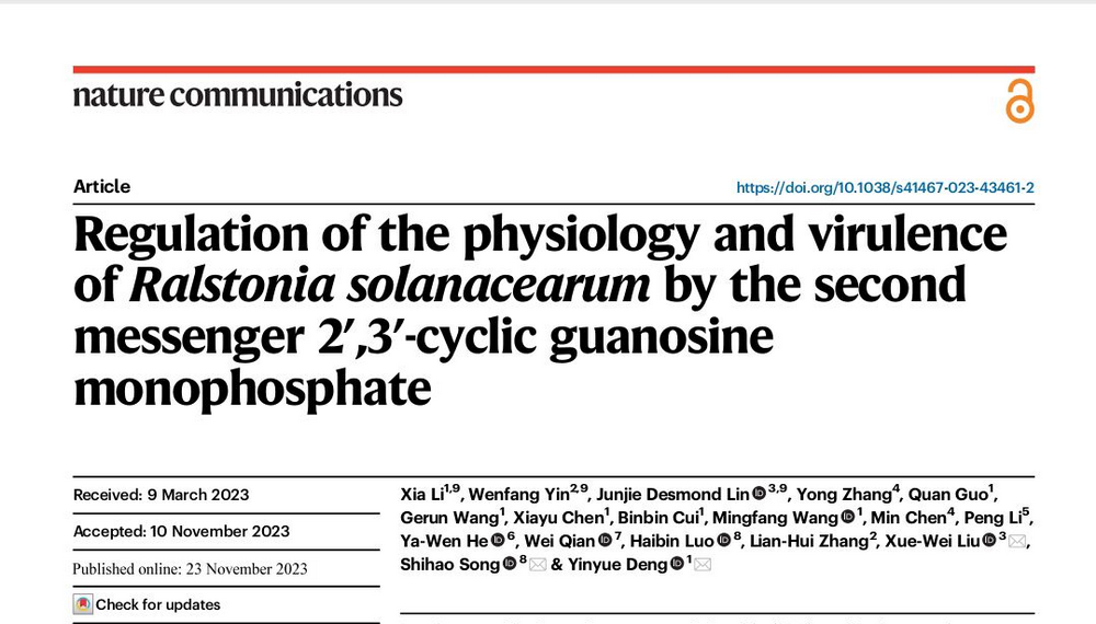 image-20240219171503-2