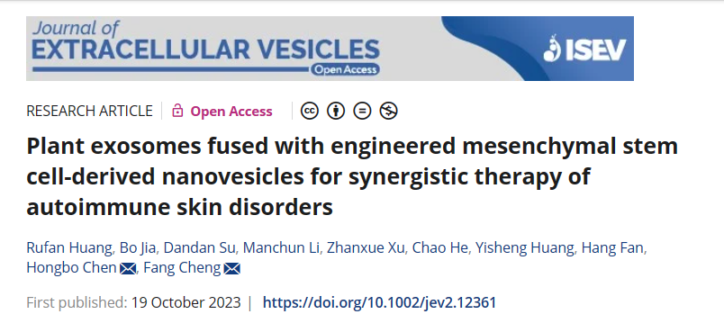 image-20240219171557-1