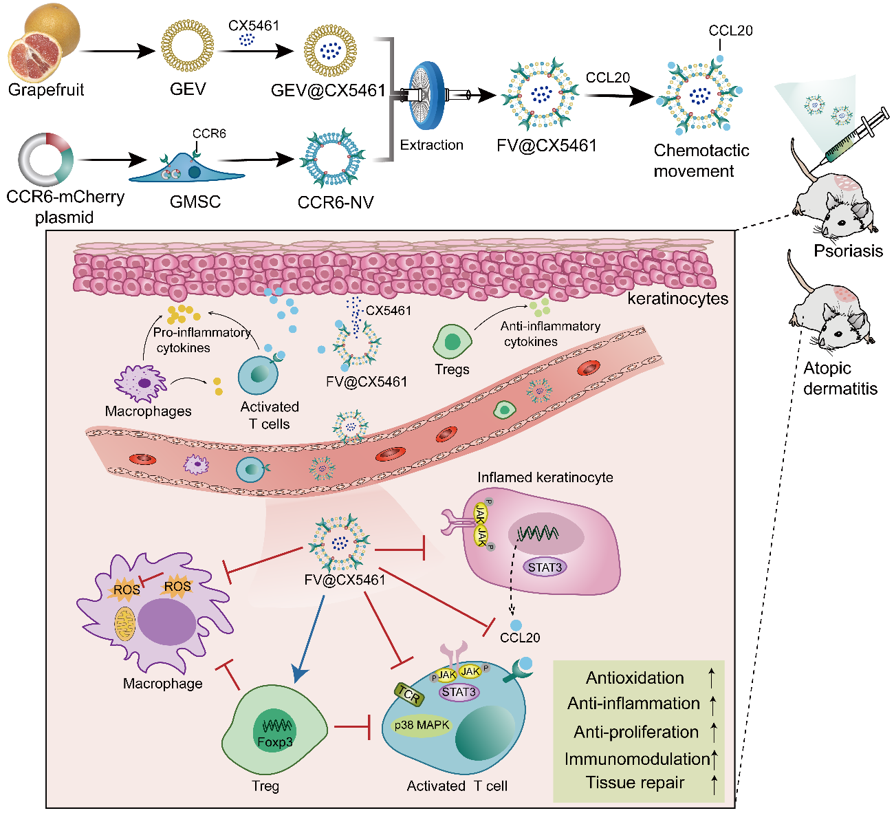 image-20240219171606-2