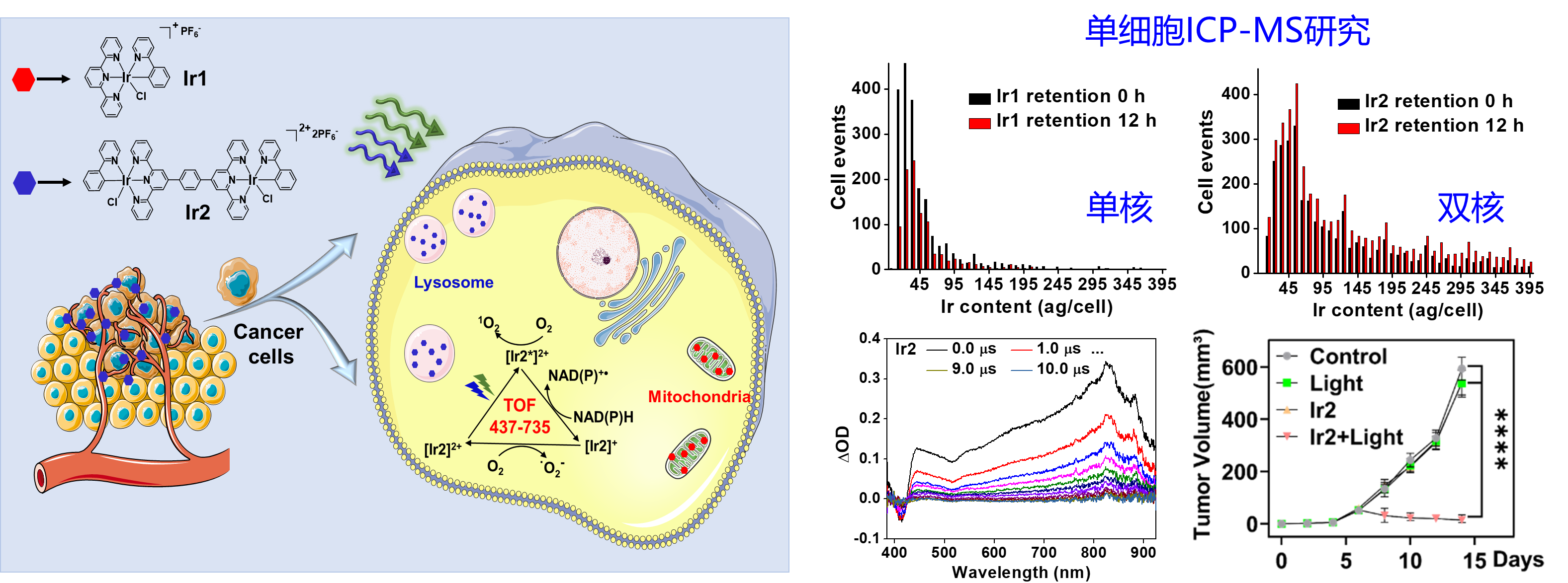 image-20240219171914-1