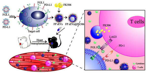 image-20240219172001-1