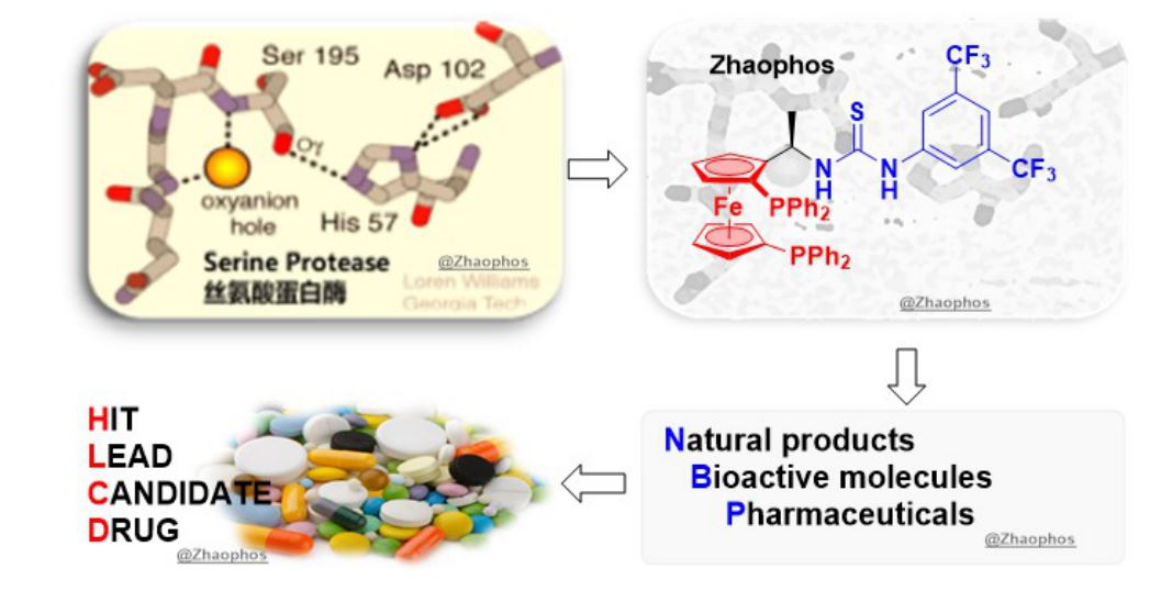 image-20240219172818-2