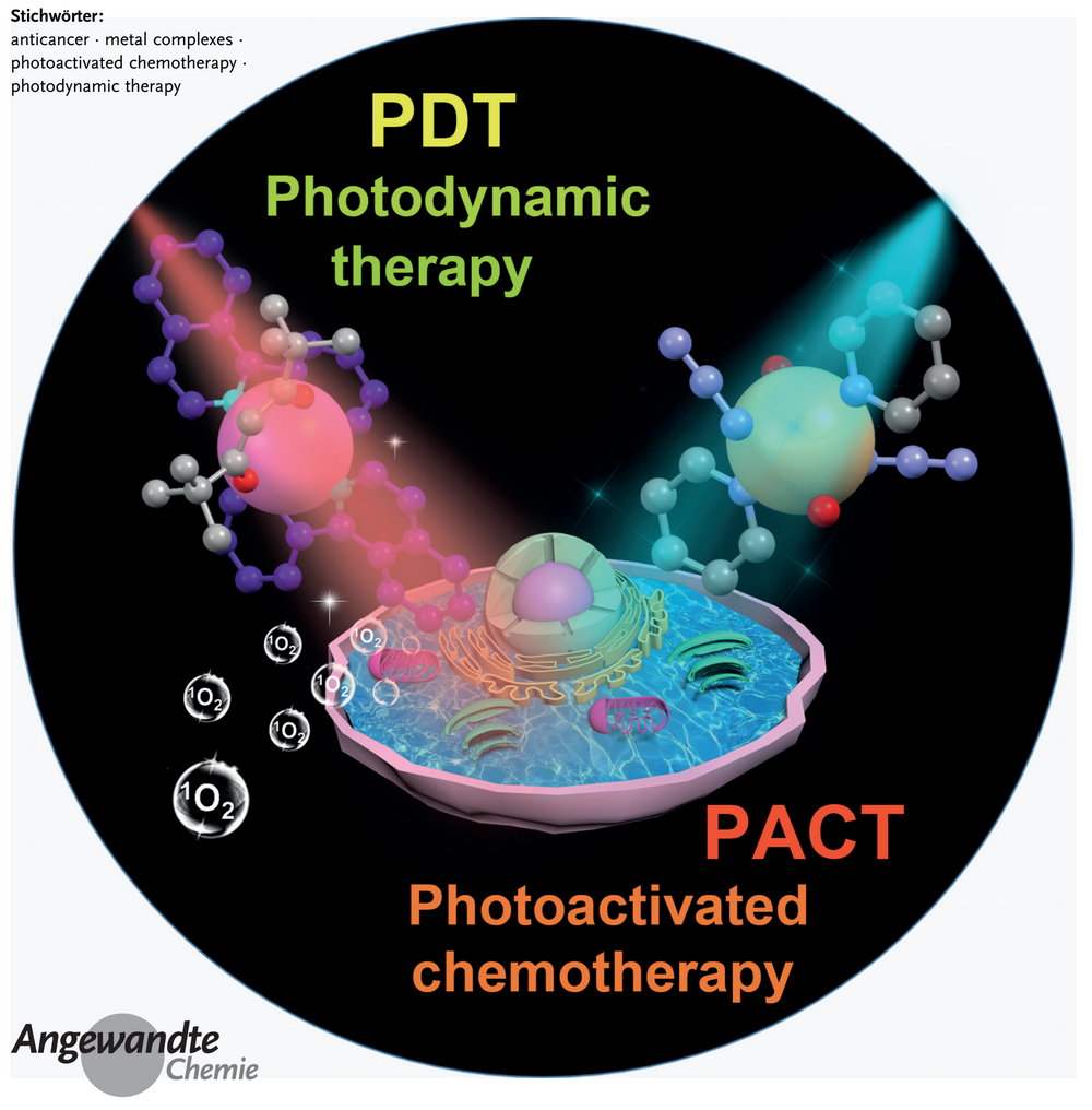 image-20240219173827-2