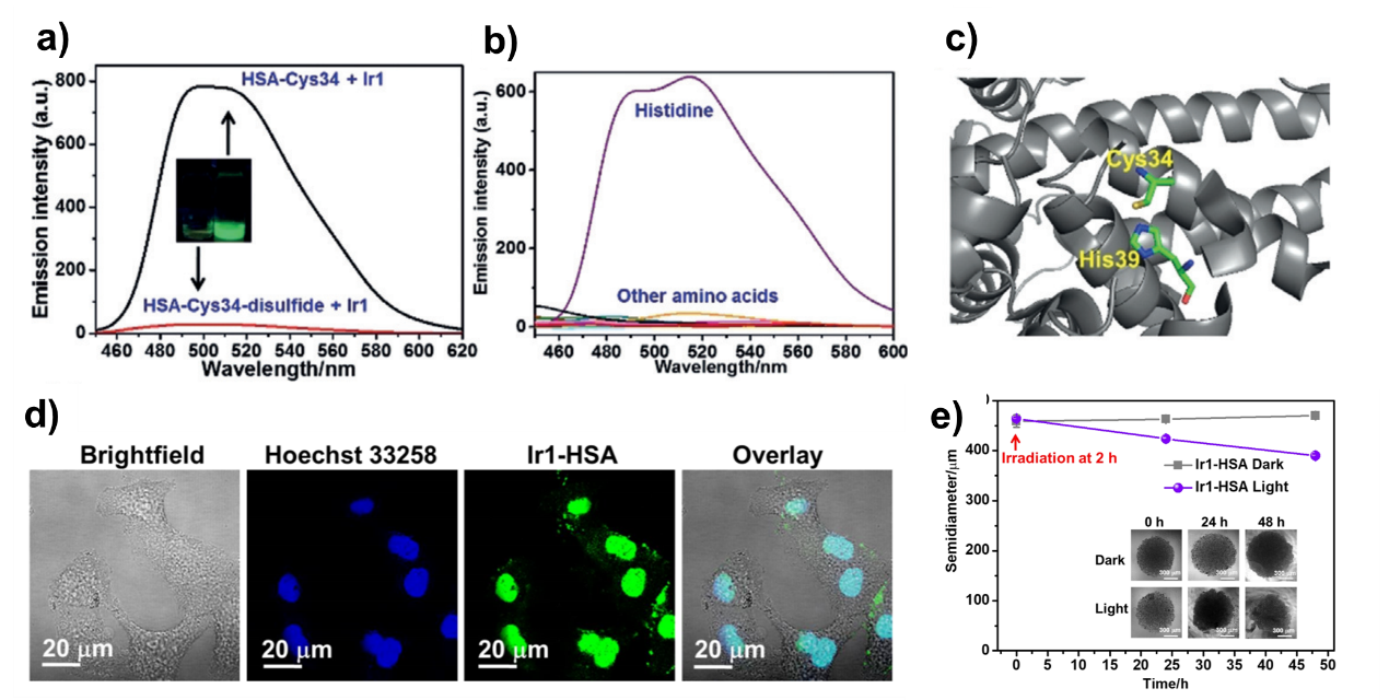 image-20240219173913-1