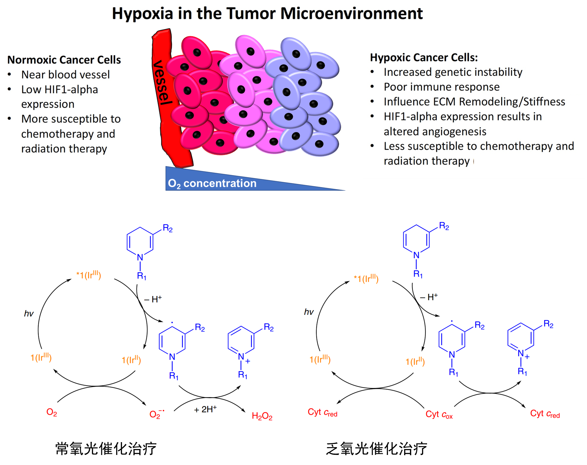 image-20240219173958-1