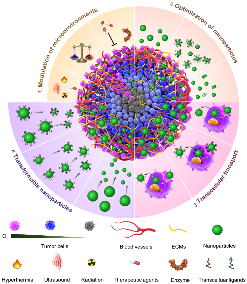 image-20240219174153-1