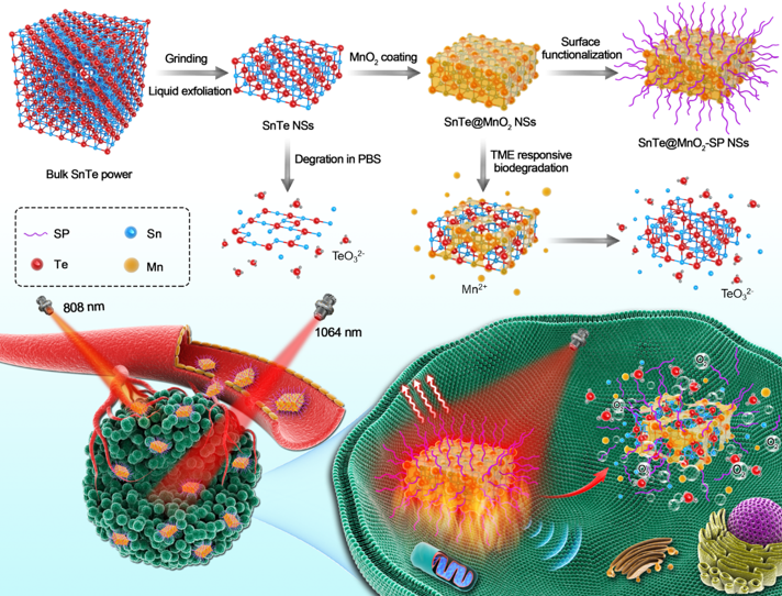 image-20240219174401-1