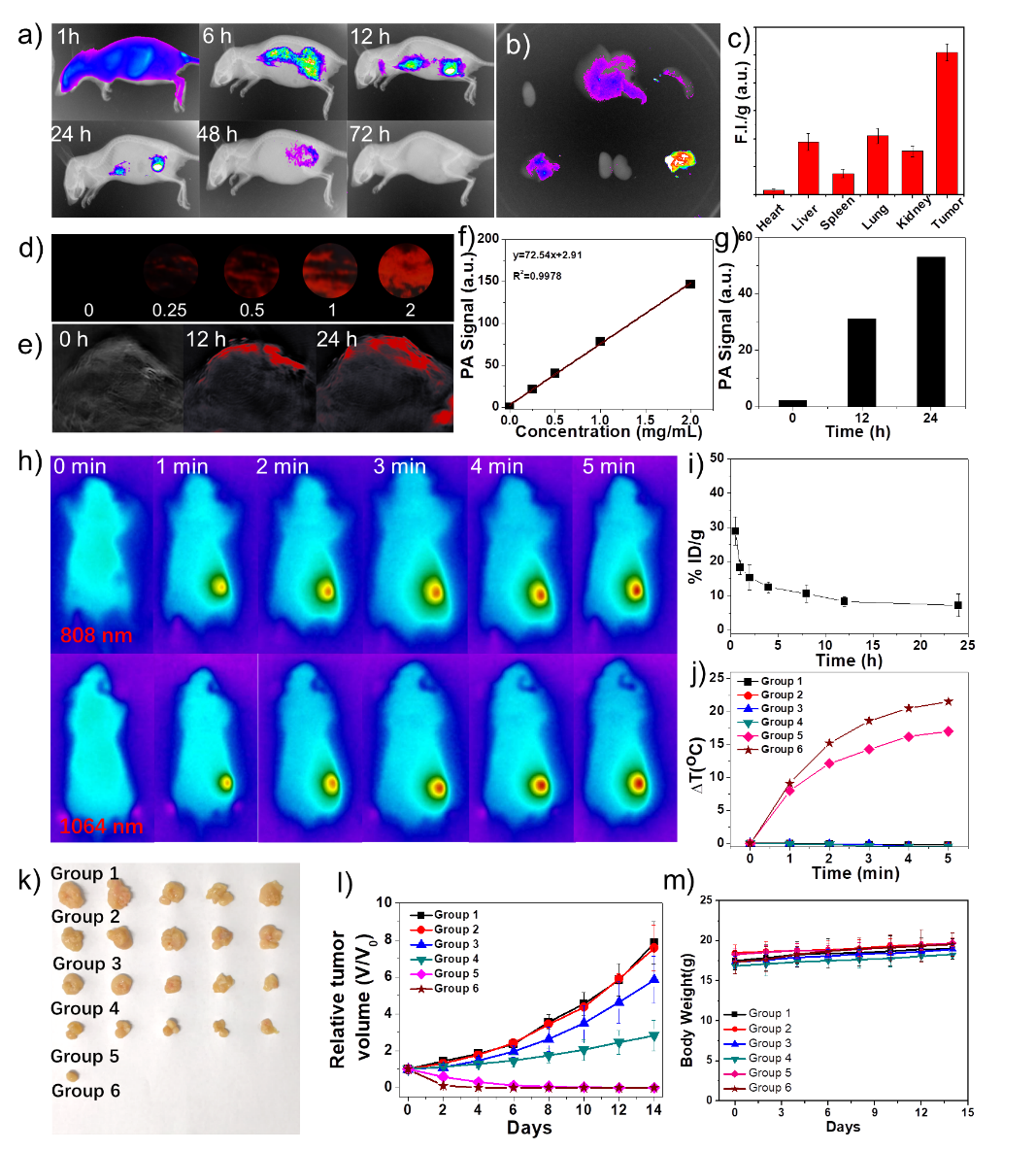 image-20240219174408-2