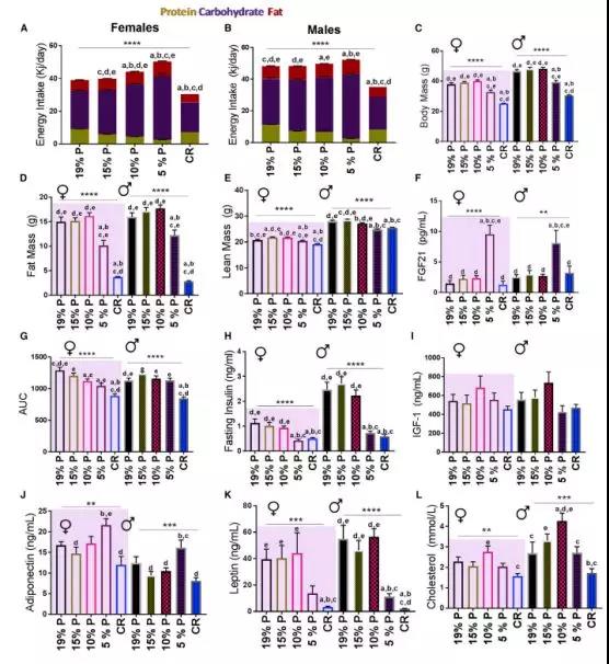 image-20240219174506-1