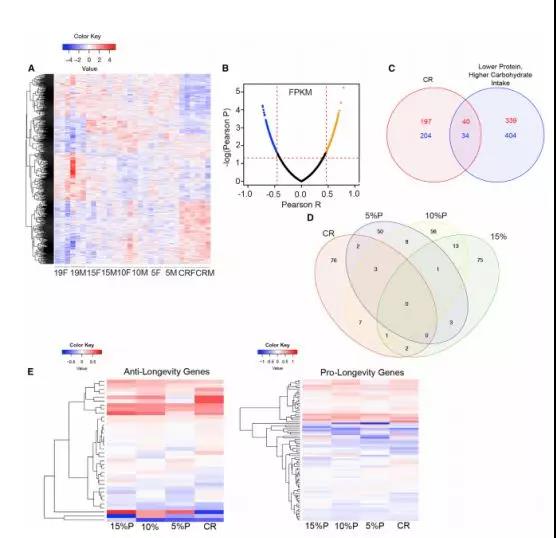 image-20240219174512-2