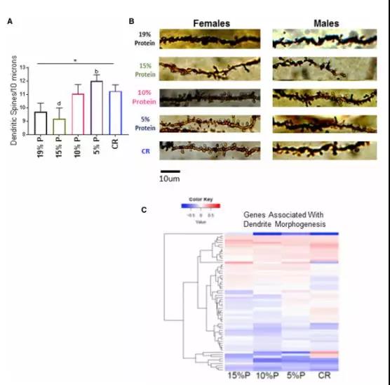 image-20240219174526-4