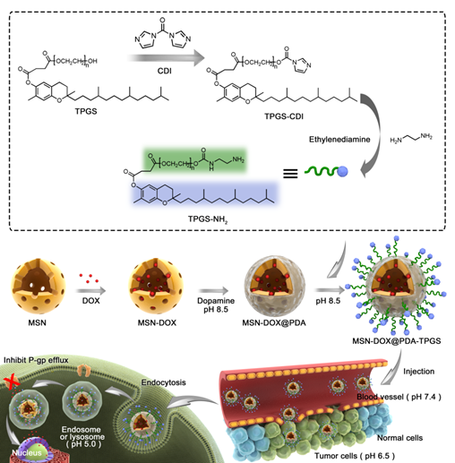 image-20240219175238-1