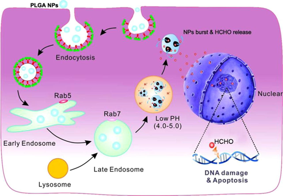 image-20240219175243-2