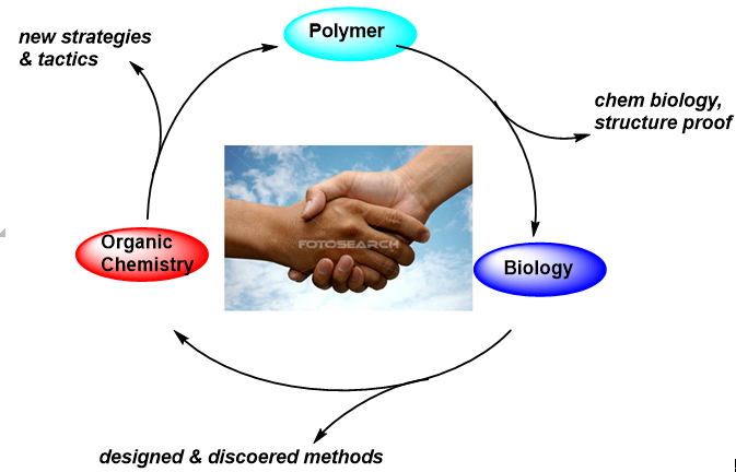 image-20240227144736-2