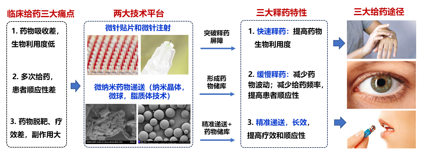 A diagram of a product

AI-generated content may be incorrect.